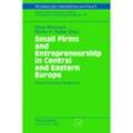 Small Firms and Entrepreneurship in Central and Eastern Europe, Kartoniert (TB)