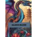 Bilderbuch / Malbuch Drachen - Willi Meinecke, Kartoniert (TB)