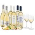 Weißwein-Frühling M mit 6 Flaschen + 2 GRATIS-Gläser