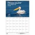 Seelenzauber Wandkalender Pelikanzauber Wand- Planer Kalender für 2025 DIN A2 Pelikane