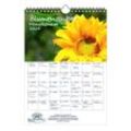 Seelenzauber Wandkalender Blumenzauber Wand- Planer Kalender für 2025 DIN A4 Blumen Blüten