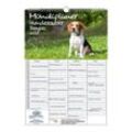 Seelenzauber Familienkalender Hundezauber Beagles Familien Planer Kalender für 2025 DIN A3 Hunde