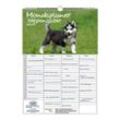 Seelenzauber Familienkalender Welpenzauber Familien Planer Kalender für 2025 DIN A3 Hunde
