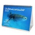 Seelenzauber Tischkalender Unterwasserzauber DIN A5 Kalender für 2025 Unterwasser