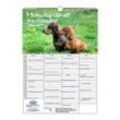 Seelenzauber Familienkalender Hundezauber Dackel Familien Planer Kalender für 2025 DIN A3 Hunde