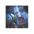 Artland Leinwandbild Tulpen Blau, Blumen (1 St), auf Keilrahmen gespannt, blau