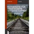 Mathematik für angewandte Wissenschaften - Joachim Erven, Josef Hörwick, Kartoniert (TB)