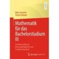 Mathematik Für Das Bachelorstudium Iii - Mike Scherfner Torsten Volland Kartoniert (TB)