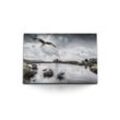 Sinus Art Leinwandbild 120x80cm Wandbild auf Leinwand Adler Weißkopfadler USA See Natur graue