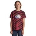DC Shoes T-Shirt Wes, rot