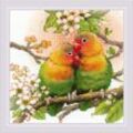 Stickbild "Papageien/Lovebird", 20 x 20 cm