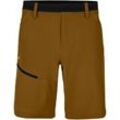 Herren Shorts Salewa Puez 3 DST M Shorts Golden Brown L - Braun - L