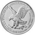 1 Unze Silber American Eagle diverse Jahrgänge Typ 2 (differenzbesteuert)