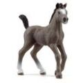 Schleich® Horse Club 13957 Cheval de Selle Francais Fohlen Spielfigur