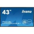 iiyama ProLite LH4352UHS-B1 43" 16:9 4K IPS 24/7 Display schwarz