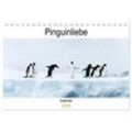 CALVENDO Wandkalender Pinguinliebe (Tischkalender 2025 DIN A5 quer)