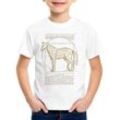 style3 Print-Shirt Kinder T-Shirt Vitruvianisches Pferd stute hengst pony reiten
