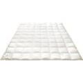 Daunenbettdecke FRAU HOLLE "Ava" Bettdecken Gr. B/L: 135 cm x 200 cm, leicht, weiß Allergiker Bettdecke hoher Schlafkomfort in 4 Wärmeklassen