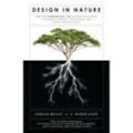 Design in Nature - Adrian Bejan, J. Peder Zane, Taschenbuch