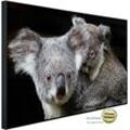 PAPERMOON Infrarotheizung "Koala Mutter und Joey" Heizkörper sehr angenehme Strahlungswärme Gr. B/H/T: 120 cm x 60 cm x 3 cm, 750 W, bunt (kunstmotiv im aluminiumrahmen) Heizkörper