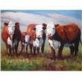 Wandbild ARTLAND "Zuhause der Kühe" Bilder Gr. B/H: 80 cm x 60 cm, Alu-Dibond-Druck Haustiere Querformat, 1 St., braun Kunstdrucke als Alubild, Outdoorbild, Leinwandbild in verschied. Größen