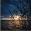 Alu-Dibond-Druck ARTLAND "Sonnenuntergang mit Schilf am See" Bilder Gr. B/H: 70 cm x 70 cm, Seebilder quadratisch, 1 St., blau Metallbilder für Innen- und Außenbereich geeignet, Outdoorbild