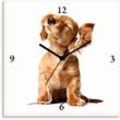 Wanduhr ARTLAND "Junger Hund hört Musik über Kopfhörer" Wanduhren Gr. B/H/T: 30 cm x 30 cm x 1,7 cm, Funkuhr, weiß Wanduhren wahlweise mit Quarz- oder Funkuhrwerk, lautlos ohne Tickgeräusche