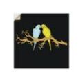 Artland Wandfolie Küssende Wellensittiche auf einem Ast, Vögel (1 St), selbstklebend, gelb