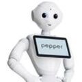 Pepper - The Humanoid Robot - Academics Edition