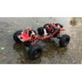 Amewi Scale Rock Crawler RC Modellauto Elektro Crawler Allradantrieb (4WD) ARR...