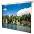 Celexon Economy Motorleinwand (290 x 290cm, 1:1, Gain 1,2)