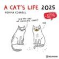 N NEUMANNVERLAGE - A Cat's Life 2025 Broschürenkalender, 30x30cm, Wandkalender mit lustigen Katzen-Illustrationen, internationalen Feiertagen und viel