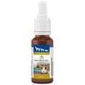 Bachblüten Tiere Tropfen Angst 20 ml