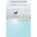 The Untethered Soul - Michael A. Singer, Kartoniert (TB)