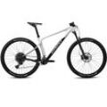 Mountainbike GHOST "Lector SF LC" Fahrräder Gr. 39 cm, 29 Zoll (73,66 cm), grau Hardtail für Damen und Herren, Kettenschaltung