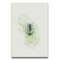 Sinus Art Leinwandbild Käfer Insekt Modern Dekorativ Wasserfarben Aquarell Design
