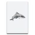 Sinus Art Leinwandbild Hai Fisch Ozean Wasserfarben Aquarell Grau Modern Minimal