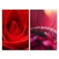 Sinus Art Leinwandbild 2 Bilder je 60x90cm Rose Rot Blüten Blumen Romantisch Dekorativ Makrofotografie