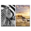 Sinus Art Leinwandbild 2 Bilder je 60x90cm Zebra Baby Afrika Wildnis Tiere Safari Elefant Sonne