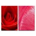 Sinus Art Leinwandbild 2 Bilder je 60x90cm Rose rote Blüte Warm Liebe Romantisch Dekorativ Feminin