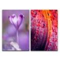 Sinus Art Leinwandbild 2 Bilder je 60x90cm Junge Blüte Blumen Regentropfen Erfrischend Leben Farbenfroh Sinnlich