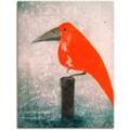 Artland Wandbild Der Rote Vogel, Vögel (1 St), als Leinwandbild, Poster in verschied. Größen, rot