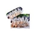 von Lilienfeld Brillenetui Brillenetui Erdmännchen Surikate Meerkatzen Brillenputztuch