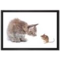 Pixxprint Leinwandbild Katze und Maus Freunde
