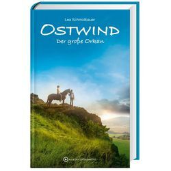 Der große Orkan / Ostwind Bd.6 - Lea Schmidbauer, Gebunden