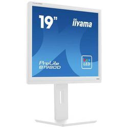Iiyama ProLite LED-Monitor EEK E (A - G) 48.3 cm (19 Zoll) 1280 x 1024 Pixel 5:4 5 ms VGA, DVI TN LED