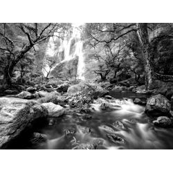 PAPERMOON Fototapete "Wasserfall im Wald Schwarz & Weiß" Tapeten Gr. B/L: 4,50 m x 2,80 m, Bahnen: 9 St., schwarz (schwarz, weiß) Fototapeten