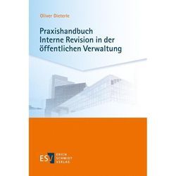 Praxishandbuch Interne Revision in der öffentlichen Verwaltung - Oliver Dieterle, Kartoniert (TB)