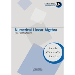 Lecture Notes Mathematics / Numerical Linear Algebra - Rolf Rannacher, Kartoniert (TB)