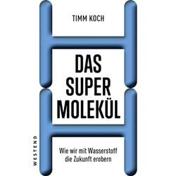 Das Supermolekül - Timm Koch, Kartoniert (TB)